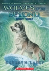 Image for Spirit Wolf (Wolves of the Beyond #5)