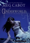 Image for Underworld (The Abandon Trilogy, Book 2)