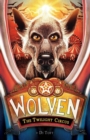 Image for Wolven Book 2: The Twilight Circus