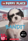 Image for The Puppy Place #24: Bandit