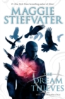 Image for The Dream Thieves (The Raven Cycle, Book 2)