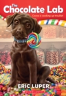 Image for The Chocolate Lab (The Chocolate Lab #1)