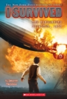 Image for I Survived the Hindenburg Disaster, 1937 (I Survived #13)