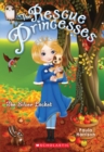 Image for The Silver Locket (The Rescue Princesses #9)