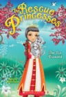 Image for The Ice Diamond (The Rescue Princesses #10)