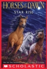 Image for Star rise