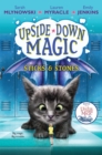 Image for Sticks &amp; Stones (Upside-Down Magic #2)