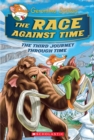 Image for The Race Against Time (Geronimo Stilton Journey Through Time #3)