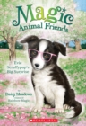 Image for Evie Scruffypup&#39;s Big Surprise (Magic Animal Friends #10)
