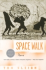Image for Space Walk