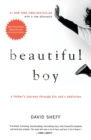Image for Beautiful Boy : A Father&#39;s Journey Through His Son&#39;s Addiction
