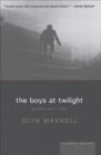 Image for Boys at Twilight: Poems 1990 - 1995