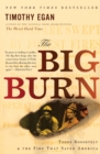 Image for The big burn  : Teddy Roosevelt and the fire that saved America