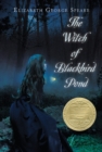 Image for The witch of Blackbird Pond