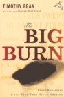 Image for The big burn: Teddy Roosevelt and the fire that saved America
