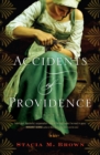 Image for Accidents of Providence: A Novel