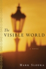 Image for The Visible World: A Novel