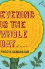 Image for Evening Is the Whole Day: A Novel