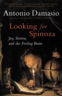 Image for Looking for Spinoza: Joy, Sorrow, and the Feeling Brain