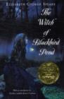 Image for The Witch of Blackbird Pond : A Newbery Award Winner