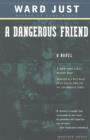 Image for A Dangerous Friend: A Novel
