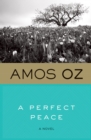 Image for A Perfect Peace: A Novel
