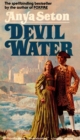 Image for Devil Water