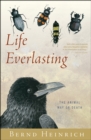 Image for Life Everlasting: The Animal Way of Death