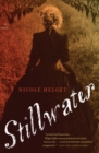 Image for Stillwater: A Novel