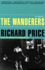 Image for The Wanderers: A Novel