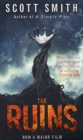 Image for The ruins  : a novel