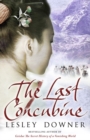 Image for The last concubine