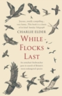 Image for While flocks last  : an armchair birdwatcher goes in search of our most endangered species