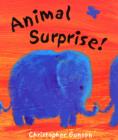 Image for Animal surprise!