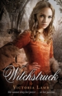 Image for Witchstruck