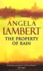 Image for The property of rain