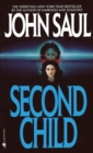 Image for Second Child : A Novel