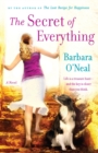 Image for The secret of everything  : a novel