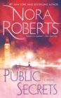 Image for Public Secrets : A Novel