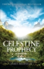 Image for The celestine prophecy  : an adventure