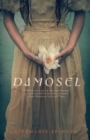 Image for Damosel : In Which the Lady of the Lake Renders a Frank and Often Startling Account of her Wondrous Life and Times