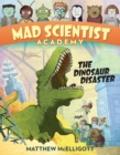 Image for The dinosaur disaster