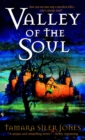Image for Valley of the Soul