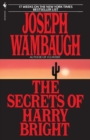 Image for The Secrets of Harry Bright