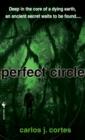 Image for Perfect Circle