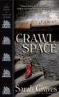 Image for Crawlspace: A Home Repair Is Homicide Mystery