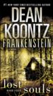 Image for Frankenstein: Lost Souls: A Novel