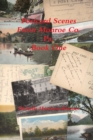 Image for Post Card Scenes From Monroe Co. Pa. Book One
