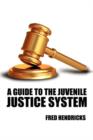 Image for A Guide to the Juvenile Justice System