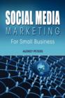 Image for Social media marketing for small business  : a step-by-step guide to creating online marketing campaigns